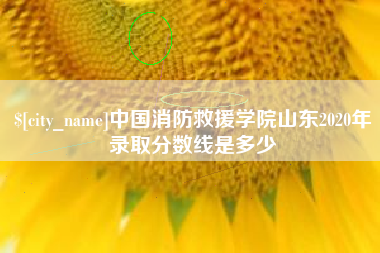 余姚中国消防救援学院山东2020年录取分数线是多少
