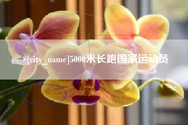 余姚5000米长跑国家运动员