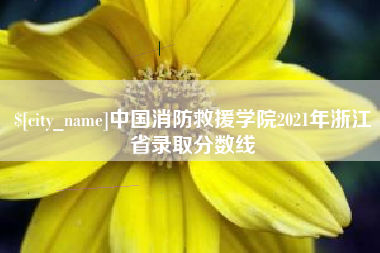 余姚中国消防救援学院2021年浙江省录取分数线