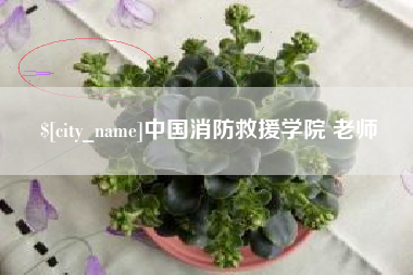 余姚中国消防救援学院 老师