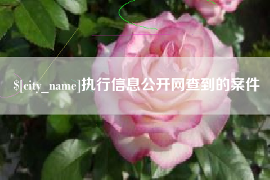 余姚执行信息公开网查到的案件