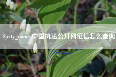 余姚中国执法公开网征信怎么查询