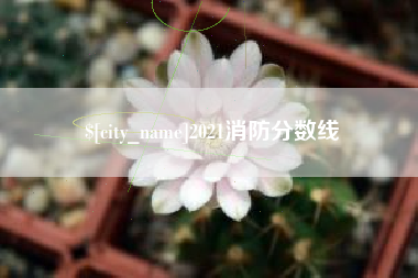 余姚2021消防分数线
