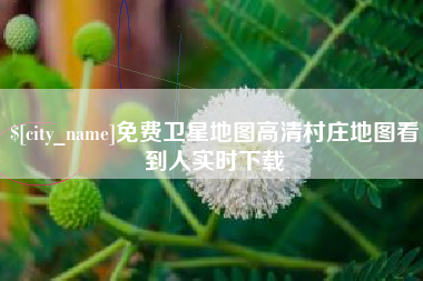 余姚免费卫星地图高清村庄地图看到人实时下载