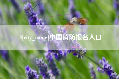 余姚中国消防报名入口