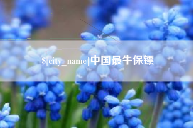 余姚中国最牛保镖