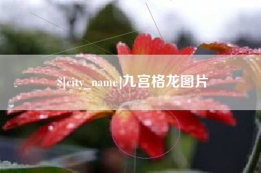 余姚九宫格龙图片