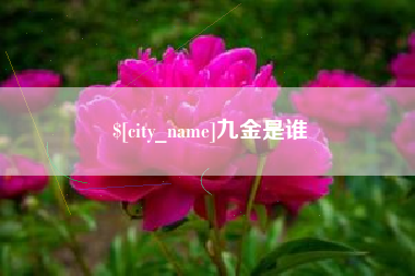 余姚九金是谁