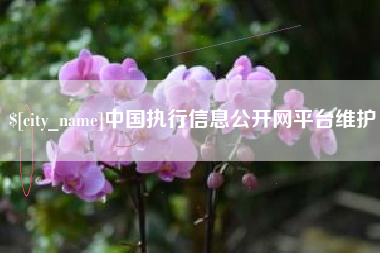 余姚中国执行信息公开网平台维护