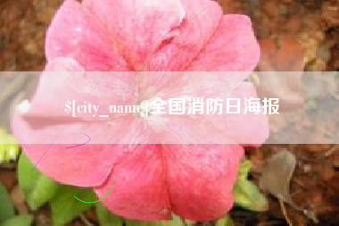 余姚全国消防日海报