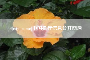 余姚中国执行信息公开网后