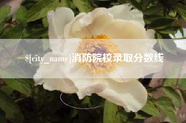 余姚消防院校录取分数线