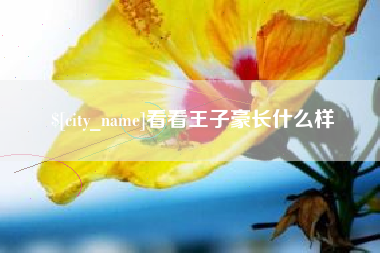 余姚看看王子豪长什么样