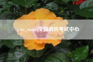 余姚全国消防考试中心