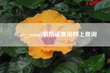 余姚消防证查询网上查询