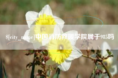 余姚中国消防救援学院属于985吗