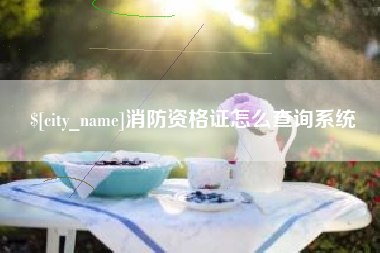 余姚消防资格证怎么查询系统