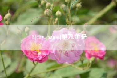 余姚第九金是