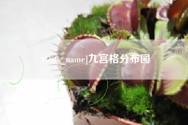 余姚九宫格分布图