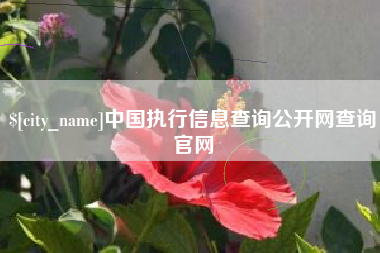 余姚中国执行信息查询公开网查询官网