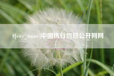 余姚中国执行信息公开网网