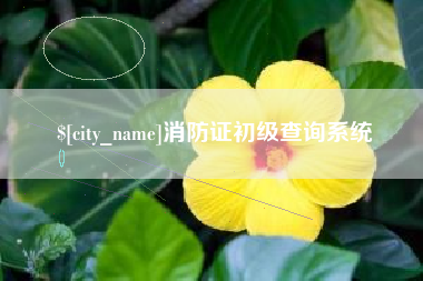 余姚消防证初级查询系统