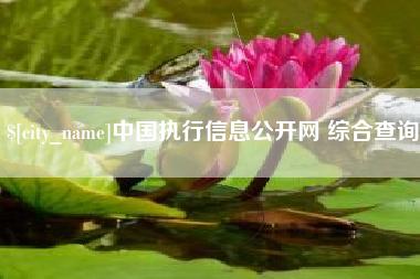 余姚中国执行信息公开网 综合查询