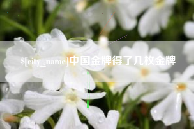 余姚中国金牌得了几枚金牌