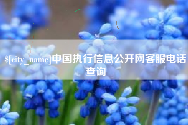 余姚中国执行信息公开网客服电话查询