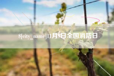 余姚11月9日全国消防日