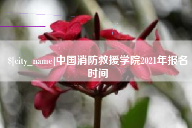 余姚中国消防救援学院2021年报名时间