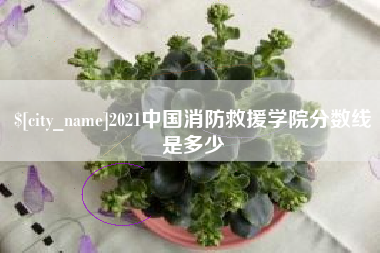 余姚2021中国消防救援学院分数线是多少