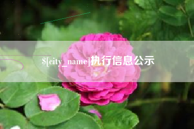 余姚执行信息公示