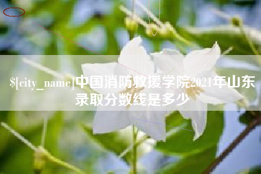 余姚中国消防救援学院2021年山东录取分数线是多少