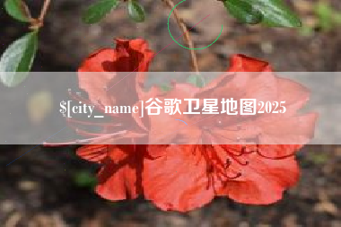 余姚谷歌卫星地图2025