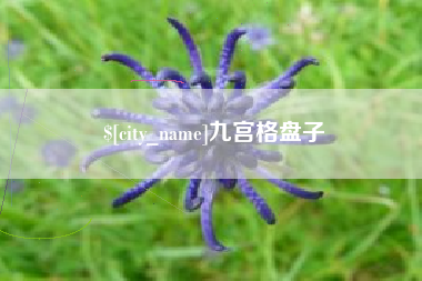 余姚九宫格盘子