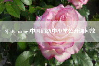 余姚中国消防中小学公开课回放