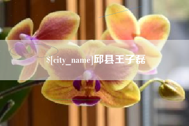 余姚邱县王子磊