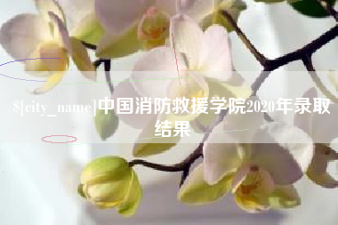 余姚中国消防救援学院2020年录取结果