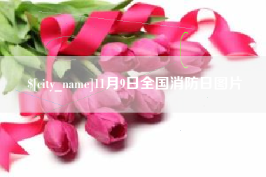 余姚11月9日全国消防日图片