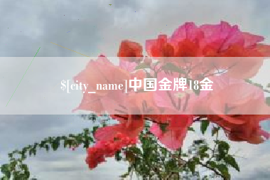 余姚中国金牌18金