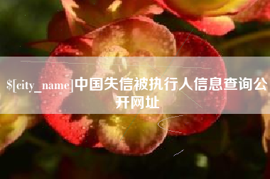 余姚中国失信被执行人信息查询公开网址