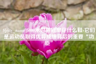余姚5000米世界冠军穿什么鞋-它们是运动员取得优异成绩背后的重要“功臣”