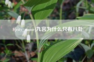 余姚九宫为什么只有八卦