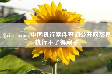 余姚中国执行案件查询公开网都是执行不了得案子