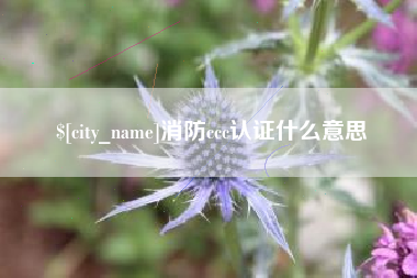 余姚消防ccc认证什么意思