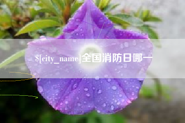 余姚全国消防日哪一