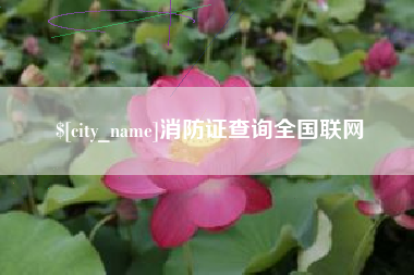 余姚消防证查询全国联网