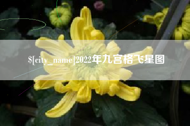 余姚2022年九宫格飞星图