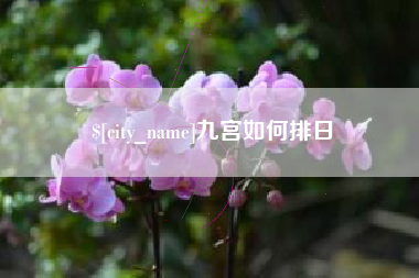 余姚九宫如何排日